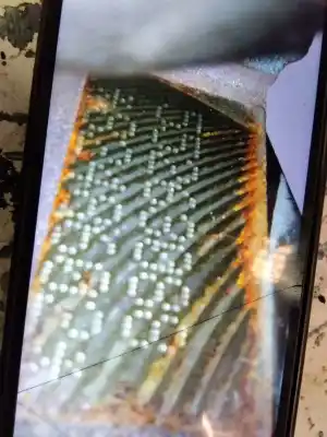 Pezzo di ricambio per auto di seconda mano motore completo per jeep compass ii limited 4x4 170 cv / 125 kw riferimenti oem iam 55263088   Pezzo di ricambio per auto di seconda mano motore completo per jeep compass ii limited 4x4 170 cv / 125 kw riferimenti oem iam 55263088