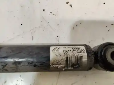 Peça sobressalente para automóvel em segunda mão amortecedor traseiro direito por citroen c3 collection 99 cv / 73 kw referências oem iam 9811392680  