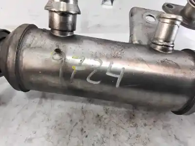 Peça sobressalente para automóvel em segunda mão Radiador De Gases De Escape (egr) por FORD FOCUS BERLINA (CAP) Ambiente (D) Referências OEM IAM 4M5Q9F464B1C  