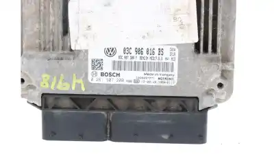 Peça sobressalente para automóvel em segunda mão centralina de motor uce por volkswagen scirocco (137) 1.4 tsi (90kw) referências oem iam 03c906016bs