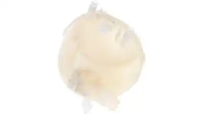 Peça sobressalente para automóvel em segunda mão Depósito De Expansão por PEUGEOT 2008 (P1) Active Referências OEM IAM 9824198680  