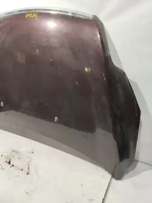 Peça sobressalente para automóvel em segunda mão capot por ford focus lim. (cb4) econetic referências oem iam   