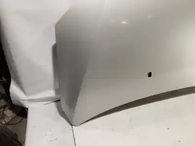 Peça sobressalente para automóvel em segunda mão capot por ford focus berlina (cap) ambiente (d) referências oem iam   