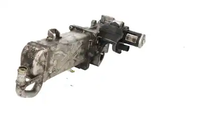 Peça sobressalente para automóvel em segunda mão radiador de gases de escape (egr) por seat leon (1p1) reference referências oem iam 03l131512c  