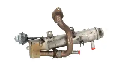 Peça sobressalente para automóvel em segunda mão radiador de gases de escape (egr) por seat exeo (3r2) 2.0 tdi referências oem iam 03l131512ah  