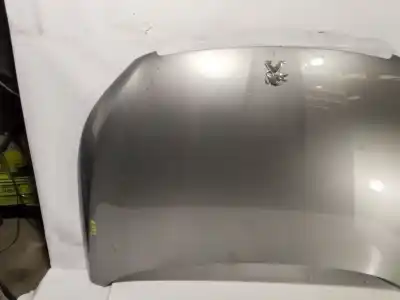 Pezzo di ricambio per auto di seconda mano cofano per peugeot 308 active riferimenti oem iam   