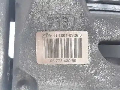Pezzo di ricambio per auto di seconda mano pinza freno anteriore destra per citroen c4 lim. seduction riferimenti oem iam 9677343080   Pezzo di ricambio per auto di seconda mano pinza freno anteriore destra per citroen c4 lim. seduction riferimenti oem iam 9677343080