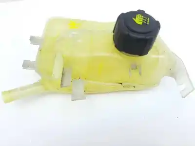 Tweedehands auto-onderdeel  voor RENAULT SCENIC III  OEM IAM-referenties 217100005R  