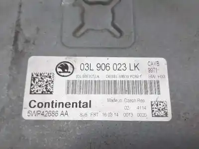 Recambio de automóvil de segunda mano de centralita motor uce para skoda rapid elegance referencias oem iam 03l906023lk  5wp42686aa