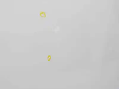 Peça sobressalente para automóvel em segunda mão capot por kia rio concept referências oem iam 664001w010  