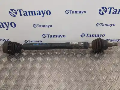 Pezzo di ricambio per auto di seconda mano TRASMISSIONE ANTERIORE DESTRA per AUDI A3 (8L)  Riferimenti OEM IAM 1J0407272AB  