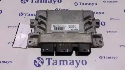Автозапчасти б/у блок управления двигателем за renault twingo ii (cn0_) 1.2 (cn0d) ссылки oem iam s120200113a