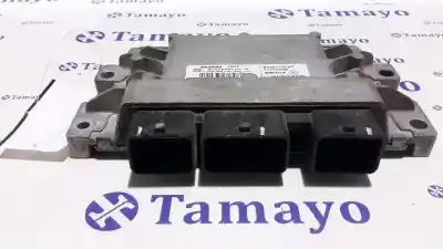 Автозапчасти б/у блок управления двигателем за renault twingo ii (cn0_) 1.2 (cn0d) ссылки oem iam s120200113a 8200774747 8200700695