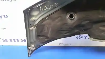 Pezzo di ricambio per auto di seconda mano cofano per audi a2 (8z) 1.6 fsi riferimenti oem iam   