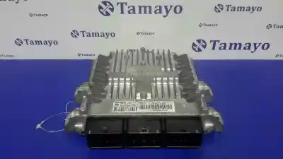 Second-hand car spare part ECU ENGINE CONTROL for PEUGEOT 407 COUPÉ (6C_)  OEM IAM references 5WS40379AT SW9658198080 HW9648237680