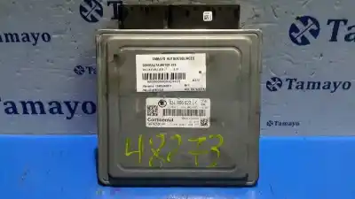 Recambio de automóvil de segunda mano de centralita motor uce para skoda fabia combi (5j5) 1.6 tdi referencias oem iam 03l906023lk 5wp42686aa 