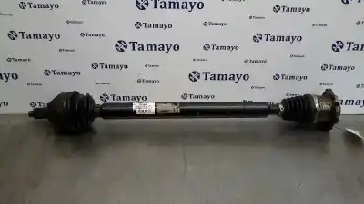 Second-hand car spare part front right transmission for seat ibiza (6j5) reference oem iam references 6r0407762e
