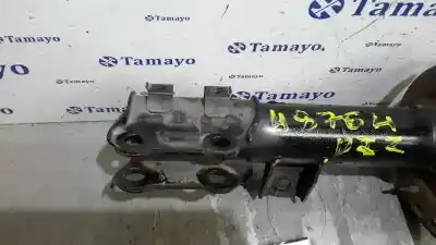 Peça sobressalente para automóvel em segunda mão amortecedor dianteiro esquerdo por kia cee´d 1.6 crdi cat referências oem iam   