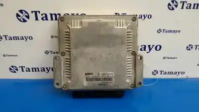 Gebrauchtes Autoersatzteil ECU-MOTORSTEUERGERÄT UCE Motorsteuergerät zum RENAULT TRAFIC CAJA CERRADA (AB 4.01)  OEM-IAM-Referenzen 0281010633 HOM8200051609 8200204834