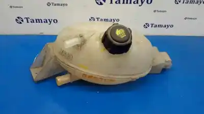 İkinci el araba yedek parçası TESVIK MEVDUATI için RENAULT MASTER KASTEN  OEM IAM referansları 217100015R  