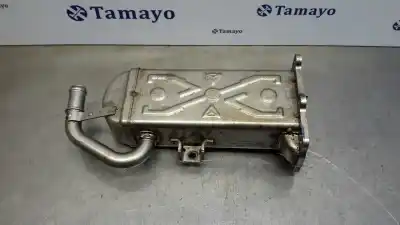 Pezzo di ricambio per auto di seconda mano RAFFREDDATORE EGR per VOLKSWAGEN GOLF VI (5K1)  Riferimenti OEM IAM 03L131512AT  
