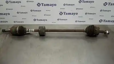 Pezzo di ricambio per auto di seconda mano trasmissione anteriore sinistra per lancia ypsilon (402) 1.2 cat riferimenti oem iam 00519022770