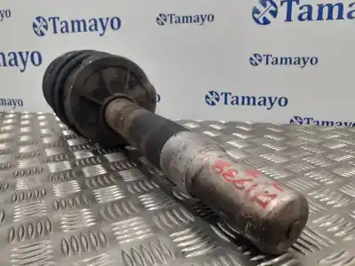 Peça sobressalente para automóvel em segunda mão amortecedor dianteiro esquerdo por bmw serie 7 (e65/e66) 3.6 v8 32v cat referências oem iam 31316753187  