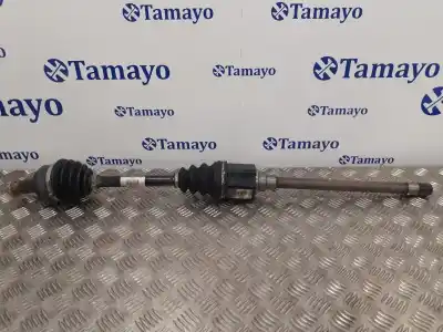 Peça sobressalente para automóvel em segunda mão transmissão dianteira direita por bmw x3 (e83) 3.0 turbodiesel cat referências oem iam 7524046