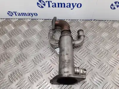 Pezzo di ricambio per auto di seconda mano raffreddatore egr per citroen jumpy 2.0 hdi cat (rhk / dw10uted4) riferimenti oem iam 9645689780 875816w xs1134