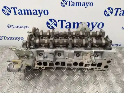 Gebrauchtes Autoersatzteil ZYLINDERKOPF DES MOTORS zum MERCEDES-BENZ SPRINTERII CAJA ABIERTA (DESDE 01.06)  OEM-IAM-Referenzen A6460101420 R6110160504 