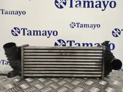 Pièce détachée automobile d'occasion intercooler / échangeur d'air pour renault kangoo (f/kc0) 1.5 dci diesel cat références oem iam   