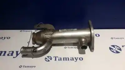 Автозапчасти б/у ОХЛАДИТЕЛЬ ВЫХЛОПНЫХ ГАЗОВ за PEUGEOT 407  ссылки OEM IAM 9645689780 875816W 