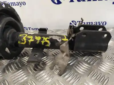 Peça sobressalente para automóvel em segunda mão amortecedor dianteiro esquerdo por renault grand modus 1.5 dci diesel 65 cv / 48 kw referências oem iam   