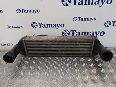 Pezzo di ricambio per auto di seconda mano intercooler per bmw x3 (e83) 3.0 turbodiesel cat riferimenti oem iam 3421803