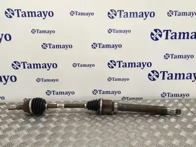 Pièce détachée automobile d'occasion transmission avant droite pour ford focus iii 1.5 d 120cv références oem iam bv613b436ta