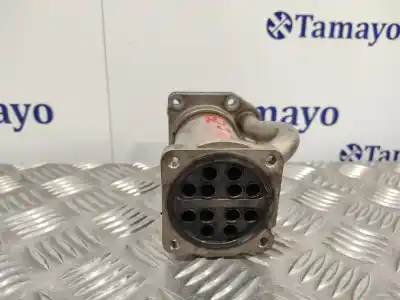 Автозапчастина б/у кулер egr для renault kangoo (f/kc0) 1.5 dci diesel cat (k9k-716) посилання на oem iam 8200545260  