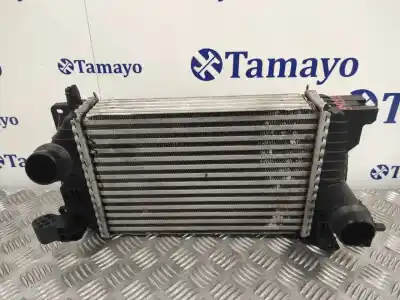 Pezzo di ricambio per auto di seconda mano intercooler per opel meriva b 1.7 16v cdti riferimenti oem iam 13283253