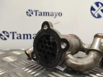 Pezzo di ricambio per auto di seconda mano raffreddatore egr per opel corsa d (s07) 1.3 cdti (l08 l68) riferimenti oem iam 55197846  
