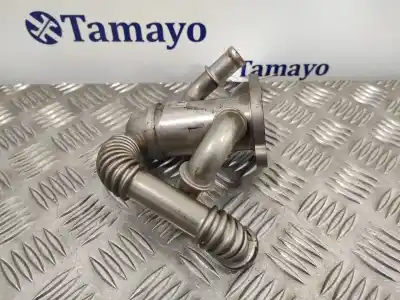Pezzo di ricambio per auto di seconda mano raffreddatore egr per opel corsa d (s07) 1.3 cdti (l08 l68) riferimenti oem iam 55197846  