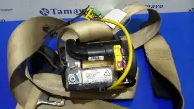 Pezzo di ricambio per auto di seconda mano cintura di sicurezza anteriore destra per volkswagen phaeton (3d2/3d8) * riferimenti oem iam    Pezzo di ricambio per auto di seconda mano cintura di sicurezza anteriore destra per volkswagen phaeton (3d2/3d8) * riferimenti oem iam