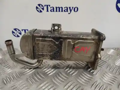 Tweedehands auto-onderdeel EGR-KOELER voor SEAT IBIZA (6J5)  OEM IAM-referenties 709720010  