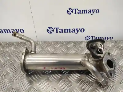 Second-hand car spare part EGR COOLER for FORD TRANSIT FURGÓN (TT9)  OEM IAM references 6C1Q9F464BD  