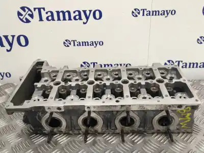 Peça sobressalente para automóvel em segunda mão cabeça / culatra por bmw serie 3 berlina (e90) 2.0 turbodiesel cat referências oem iam 7797678  