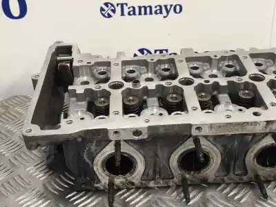 Peça sobressalente para automóvel em segunda mão cabeça / culatra por bmw serie 3 berlina (e90) 2.0 turbodiesel cat referências oem iam 7797678  