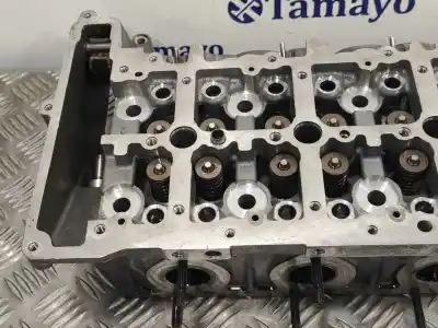 Peça sobressalente para automóvel em segunda mão cabeça / culatra por bmw serie 3 berlina (e90) 2.0 turbodiesel cat referências oem iam 7797678  