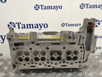 Peça sobressalente para automóvel em segunda mão cabeça / culatra por bmw serie 3 berlina (e90) 2.0 turbodiesel cat referências oem iam 7797678  