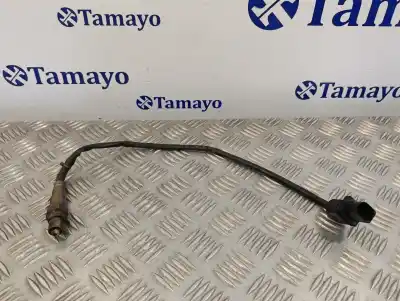 Peça sobressalente para automóvel em segunda mão sonda lambda por audi q7 (4l) 3.0 v6 24v tdi referências oem iam 059906262