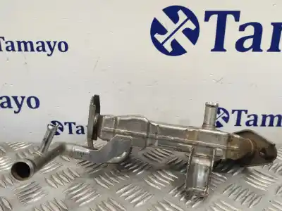 Автозапчастина б/у КУЛЕР EGR для TOYOTA PRIUS (NHW30)  Посилання на OEM IAM 2560137010 J2D02072Y1AS01A 