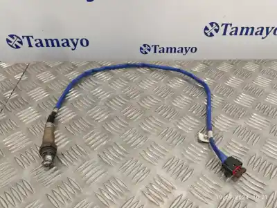 Peça sobressalente para automóvel em segunda mão sonda lambda por ford focus lim. black&red referências oem iam f1fa9g444ea