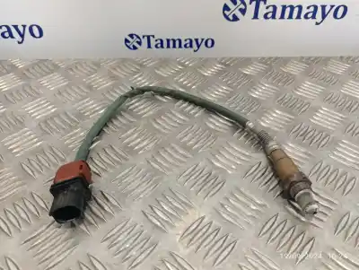 Peça sobressalente para automóvel em segunda mão sonda lambda por ford focus lim. black&red referências oem iam f1ga9y460ca